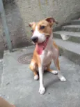 Lola