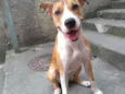 Lola