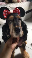 Belinha (Isabella)