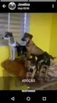 Não tem até o moment