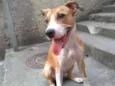 Lola