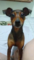 Mel