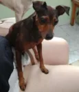 Mel