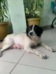 Lupita 