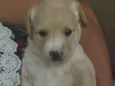 Sem nome ainda 