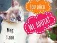 Meg