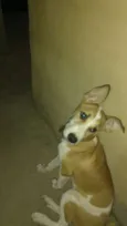 Nina