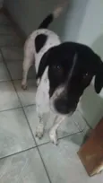Dudu
