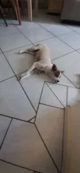 Skip