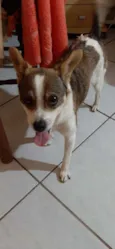 Skip