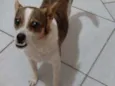 Skip