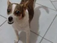 Skip