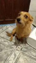 Murilo