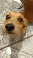 Murilo