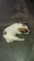 Não colocamos nome