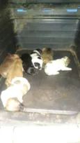 Não colocamos nome