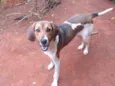 kALY