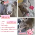 Victória 