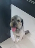 Baunilha