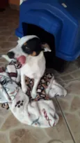 Bolinha