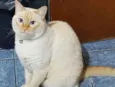 Nero e irmão para ad