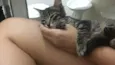 Tom
