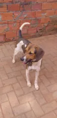 kALY