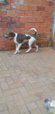 kALY