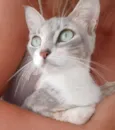 Menina