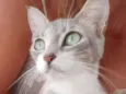 Menina