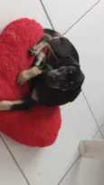 Billy