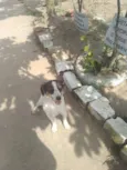 Rubi