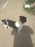 Rubi
