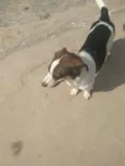Rubi