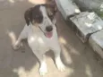Rubi