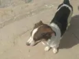 Rubi