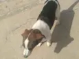 Rubi