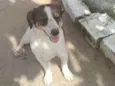 Rubi