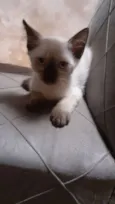 Bella