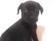 Sem nomes ainda