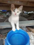 Zilu