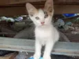 Zilu