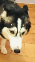 Arya