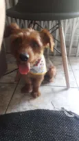 Bob
