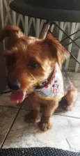 Bob