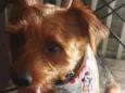 Bob