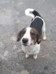 Rubi