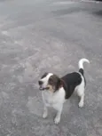 Rubi