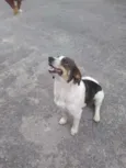 Rubi