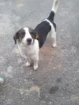 Rubi